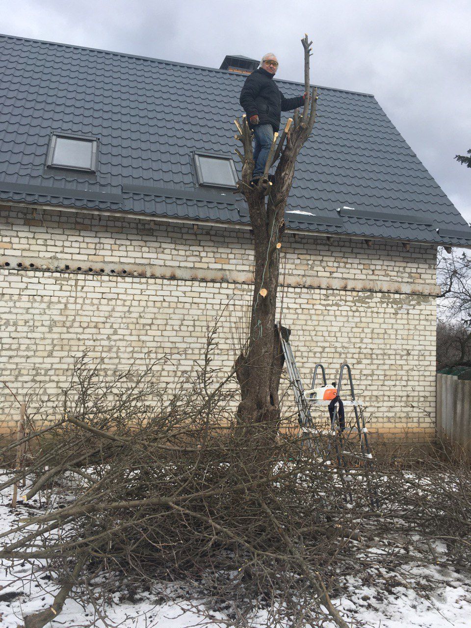 Процес обрізки дерев для надання форми кроні та проріджування гілок у саду біля будинку