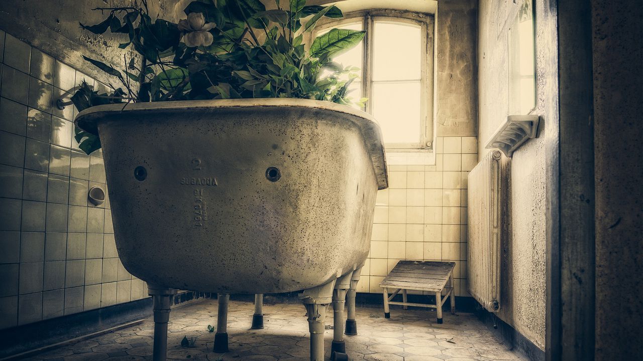 Стара ванна, перетворена на креативну клумбу для рослин.