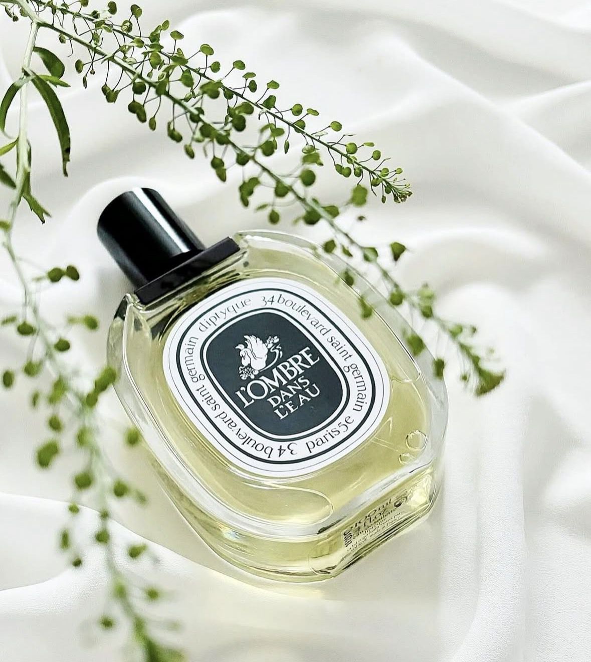 5 небанальних ароматів свіжості, які хочеться носити щодня. Зазвичай парфумерний гардероб на теплу пору року зводиться або до хімічного морського бризу, або до липких коктейлів.