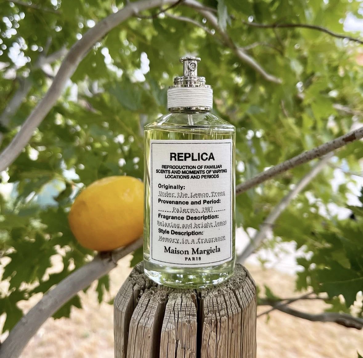 5 небанальних ароматів свіжості, які хочеться носити щодня. Зазвичай парфумерний гардероб на теплу пору року зводиться або до хімічного морського бризу, або до липких коктейлів.