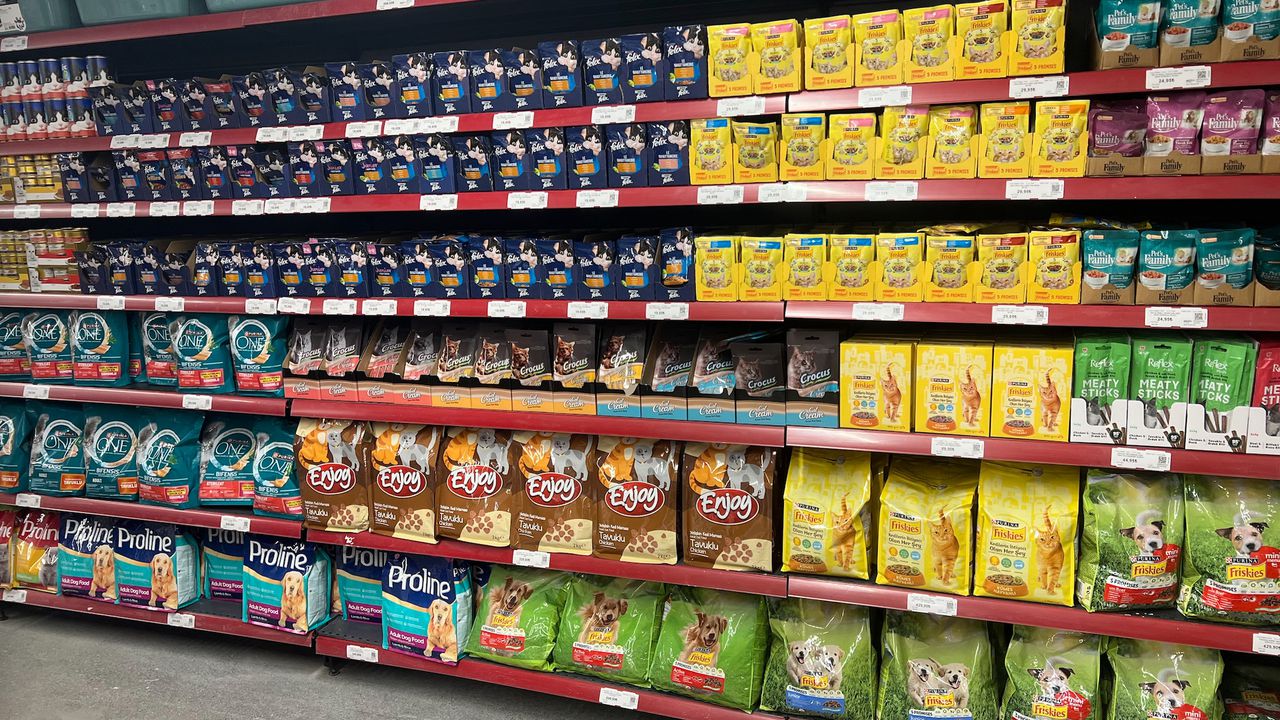 «Моєму Рексу 7, яка ж це старість?»: простою мовою про те, як і навіщо обирати корм за віком. Розбираймося, чому маркетологи достроково записують собак у пенсіонери, що не так із добавками для суглобів і як годувати тварину, віку якої не знає навіть ветеринар.