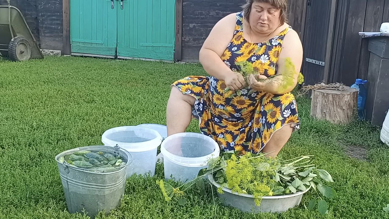 «П’яні» огірочки з горілкою. Рецепт із городу, від якого ви не зможете відірватися