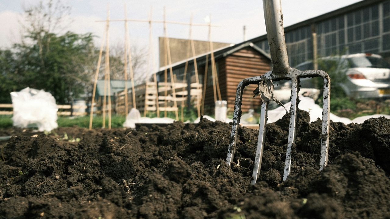 Підзимній посів: що сіяти восени і як не втратити урожай