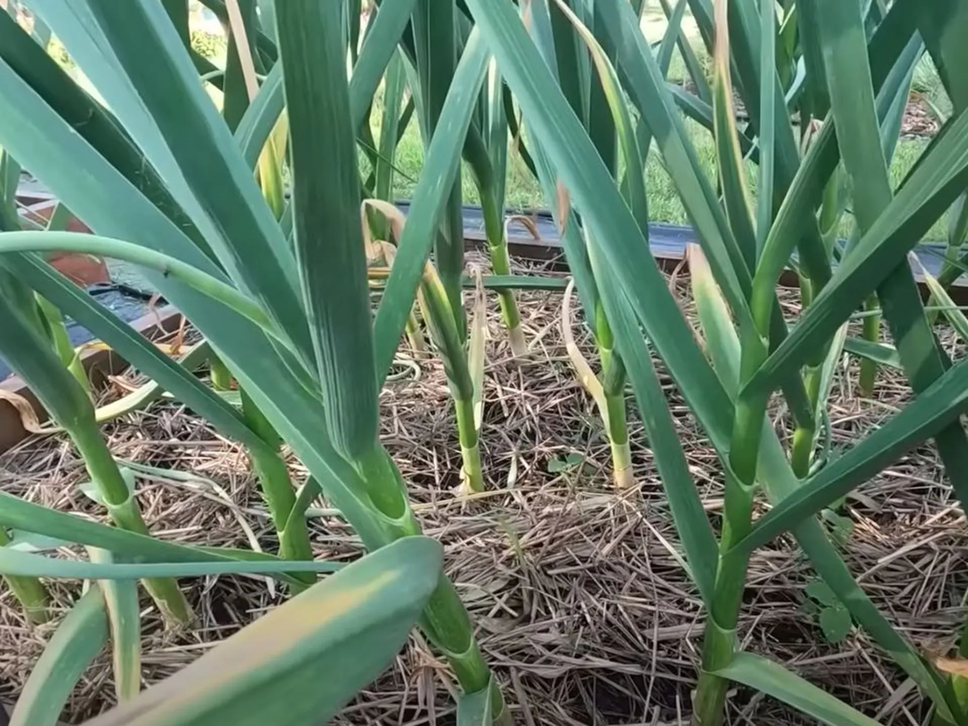 Розрізні засоби використання